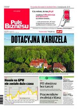 Puls Biznesu 100/2020