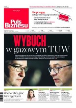Puls Biznesu 101/2020