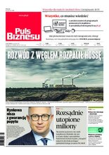 Puls Biznesu 114/2020