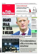 Puls Biznesu 117/2020