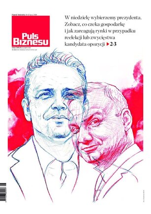 Puls Biznesu 132/2020