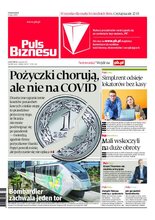 Puls Biznesu 133/2020