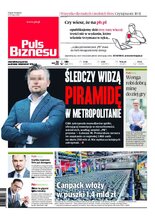 Puls Biznesu 137/2020