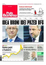 Puls Biznesu 161/2020