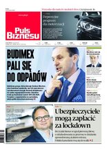 Puls Biznesu 190/2020