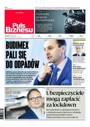 Puls Biznesu 190/2020
