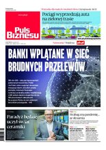 Puls Biznesu 193/2020