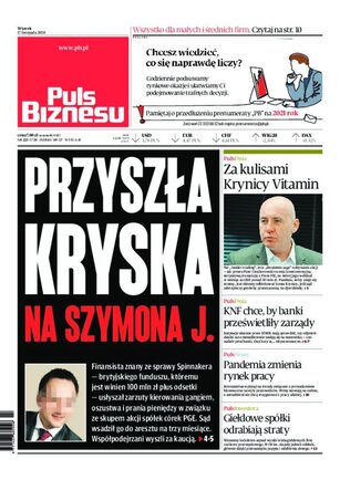 Puls Biznesu 223/2020