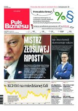 Puls Biznesu 230/2020