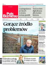 Puls Biznesu 24/2020