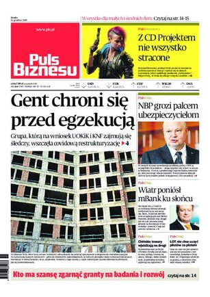 Puls Biznesu 244/2020