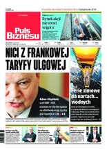 Puls Biznesu 245/2020