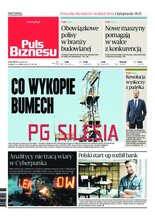 Puls Biznesu 246/2020