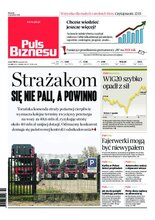 Puls Biznesu 248/2020