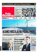 Puls Biznesu 25/2020