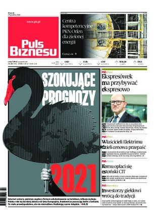 Puls Biznesu 251/2020