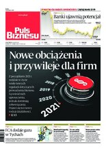 Puls Biznesu 252/2020