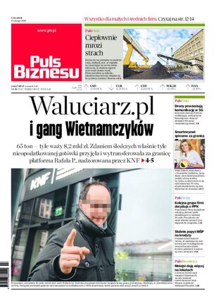 Puls Biznesu 30/2020