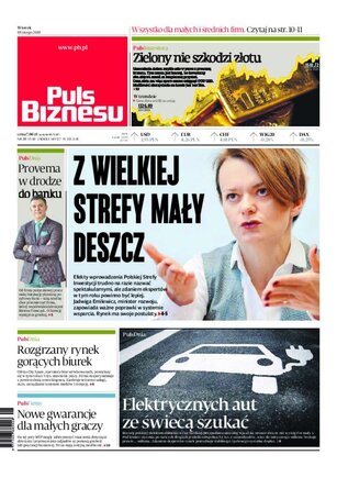 Puls Biznesu 33/2020