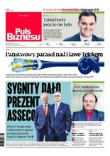 Puls Biznesu 34/2020