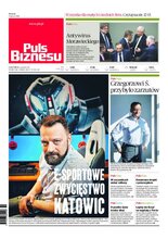 Puls Biznesu 43/2020