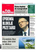 Puls Biznesu 68/2020