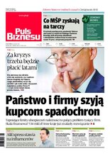 Puls Biznesu 75/2020