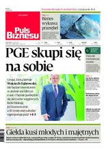 Puls Biznesu 91/2020