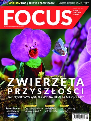 Focus 6-7/2020