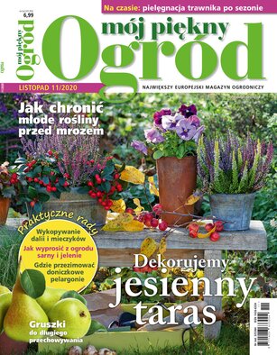 Mój Piękny Ogród 11/2020