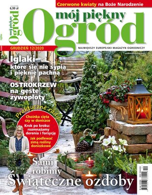 Mój Piękny Ogród 12/2020