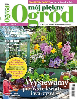 Mój Piękny Ogród 2/2020