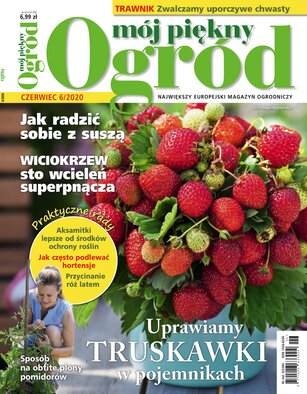 Mój Piękny Ogród 6/2020
