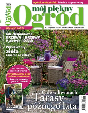 Mój Piękny Ogród 9/2020