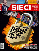 Sieci 20/2020