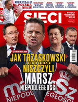 Sieci 28/2020
