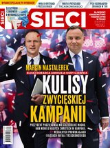 Sieci 30/2020