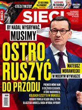 Sieci 32/2020