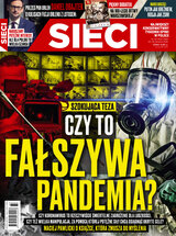 Sieci 33/2020