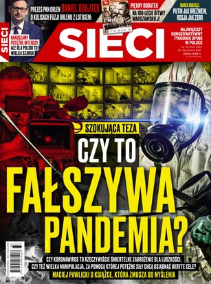 Sieci 33/2020