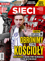 Sieci 45/2020