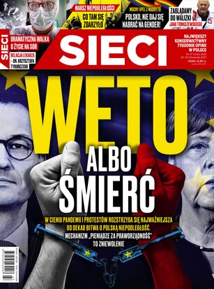 Sieci 47/2020
