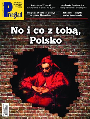 Przegląd 29/2020