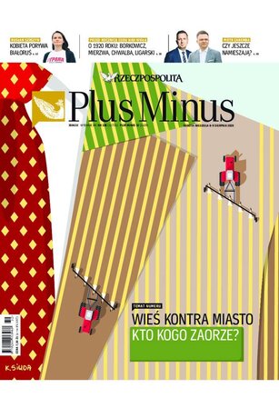 Plus Minus 32/2020