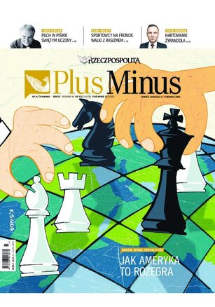 Rzeczpospolita 132/2020