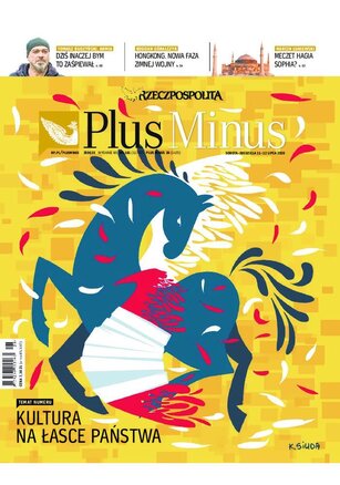 Rzeczpospolita 161/2020