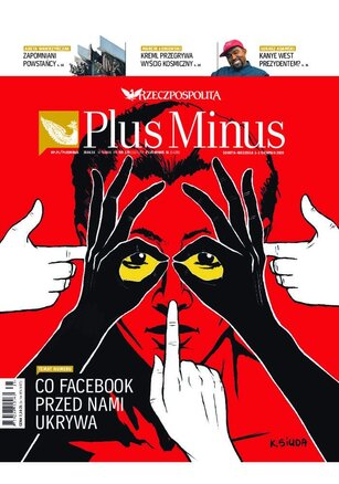 Rzeczpospolita 179/2020