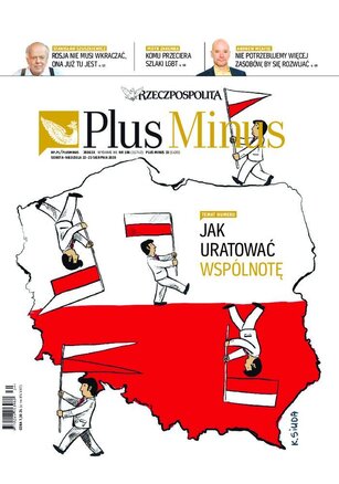Rzeczpospolita 196/2020