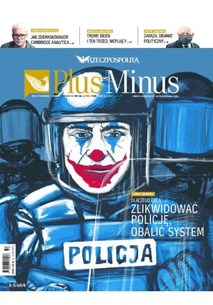 Rzeczpospolita 244/2020