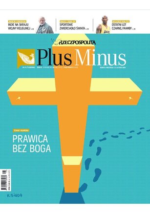 Rzeczpospolita 26/2020